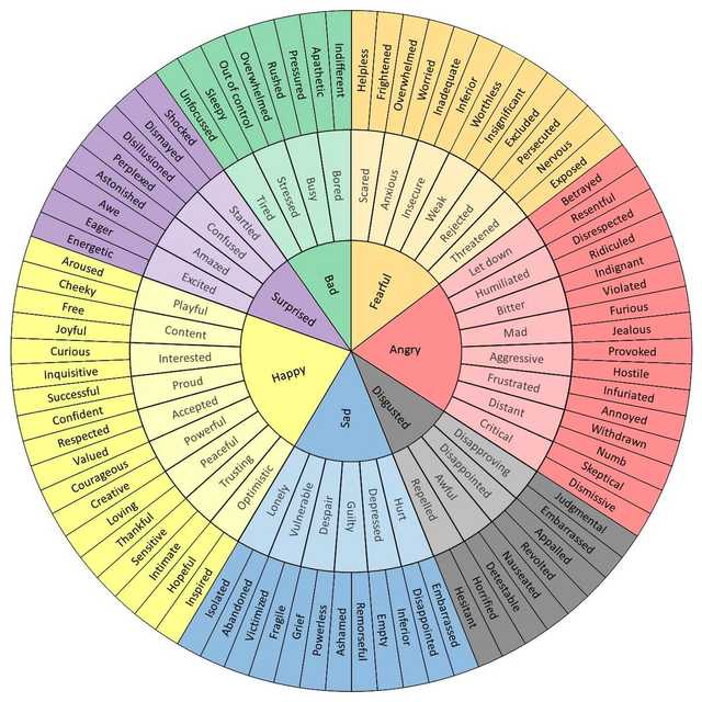 Feelings wheel